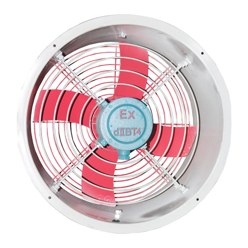 �����������S���L�C